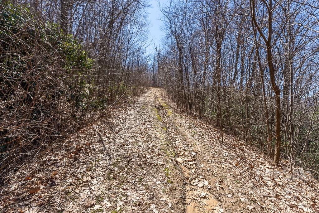 BARTLETT MOUNTAIN VIEWS - Land