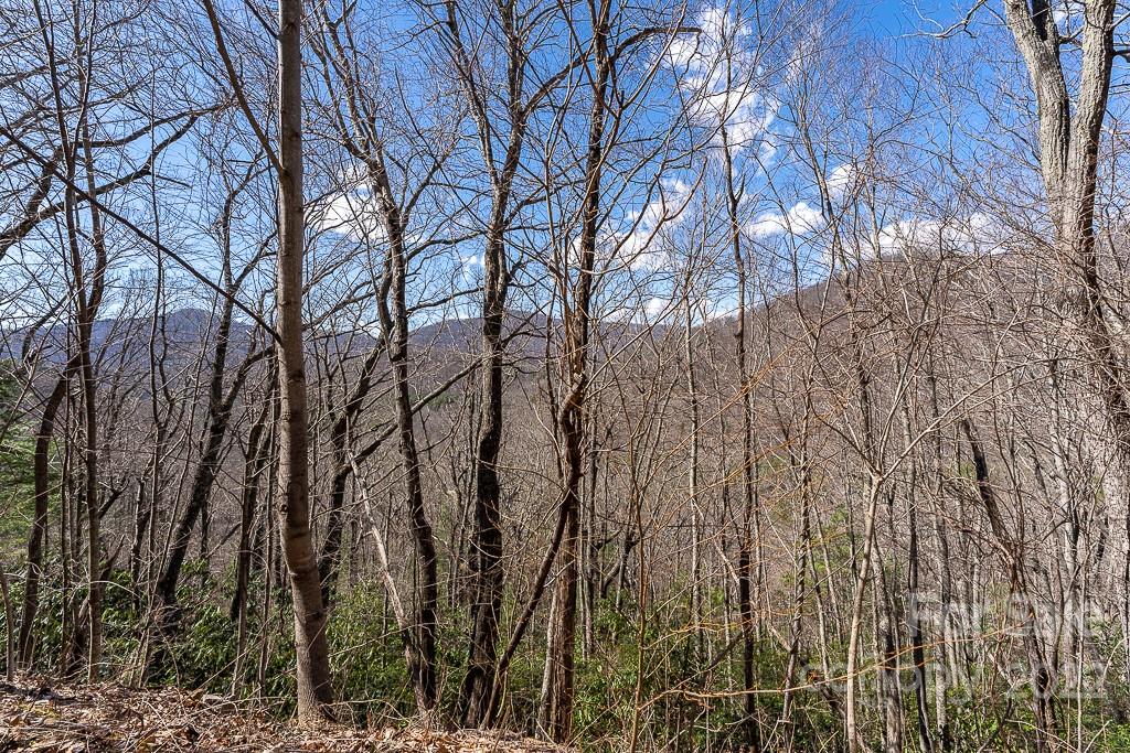 BARTLETT MOUNTAIN VIEWS - Land