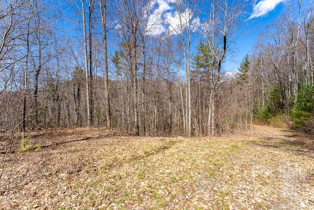 BARTLETT MOUNTAIN VIEWS - Land