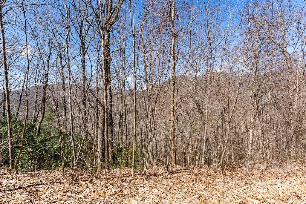 BARTLETT MOUNTAIN VIEWS - Land