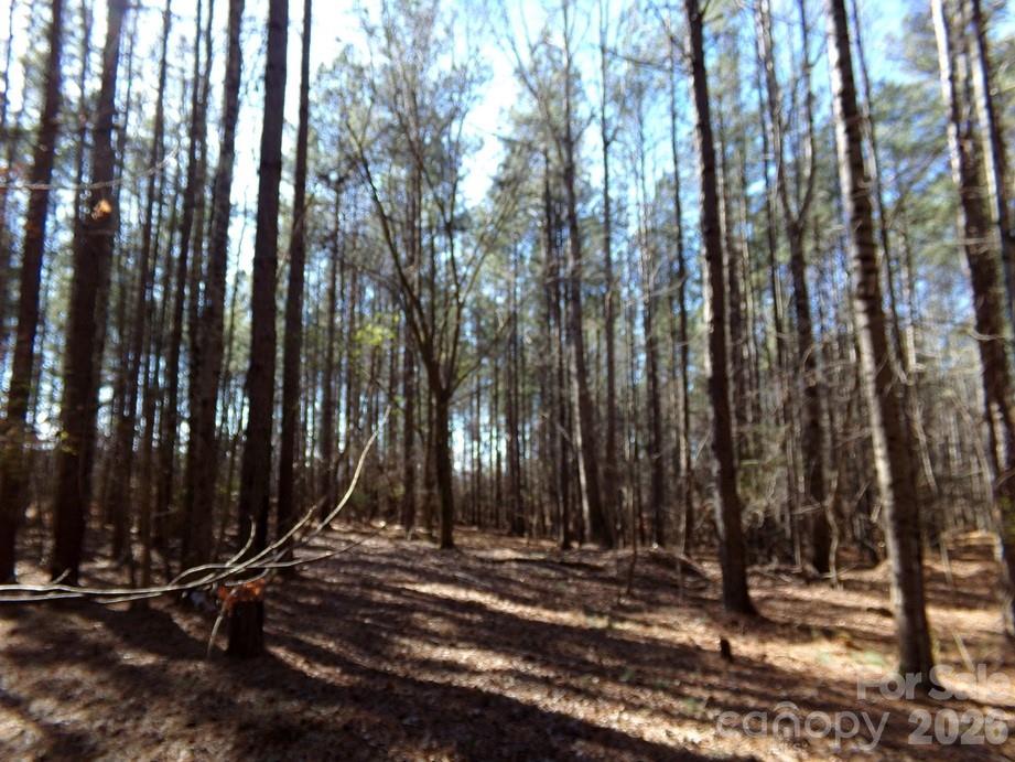 41 Ac Hwy 55 Highway