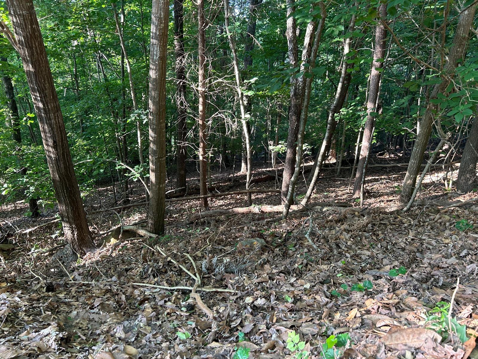 Cramer Mountain - Land