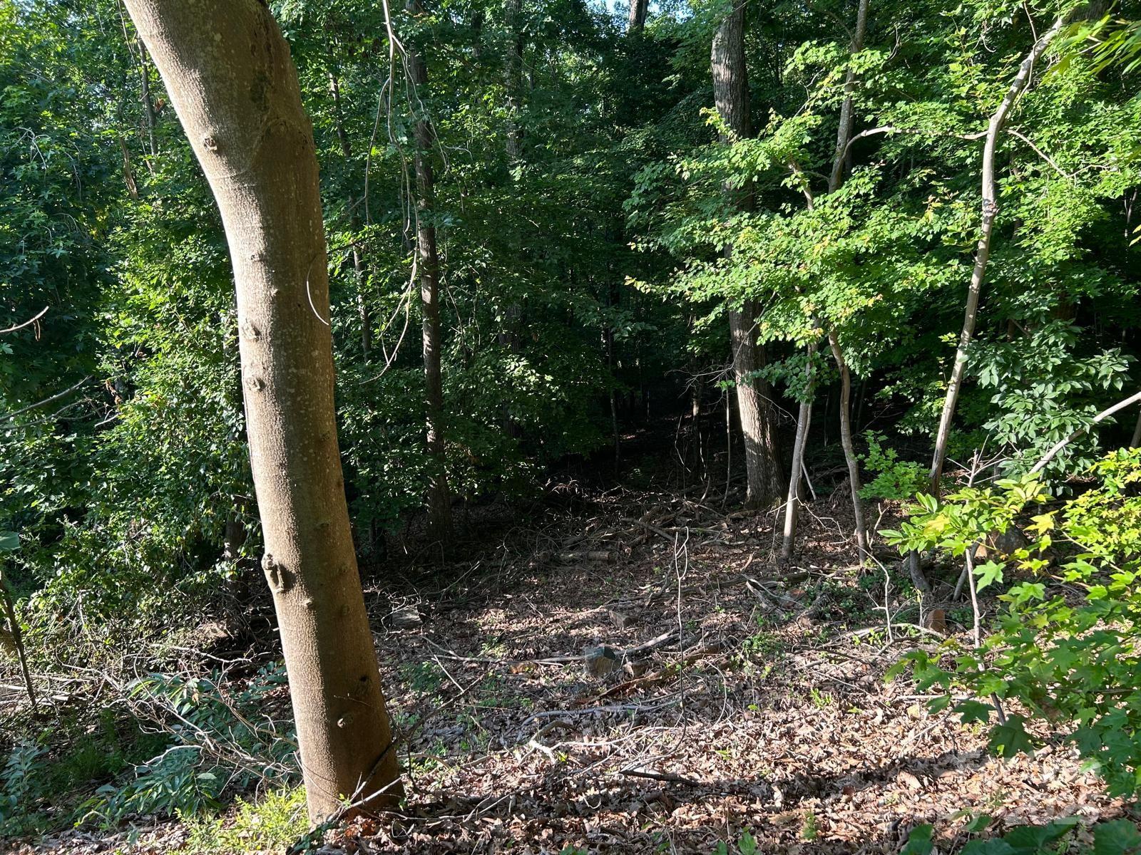 Cramer Mountain - Land