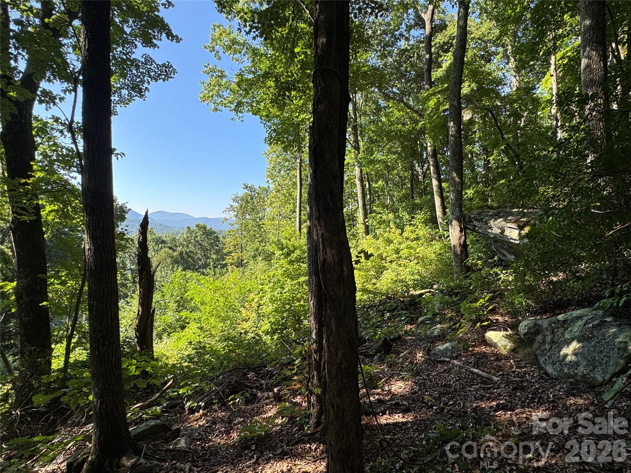 107 Copperhead Cove