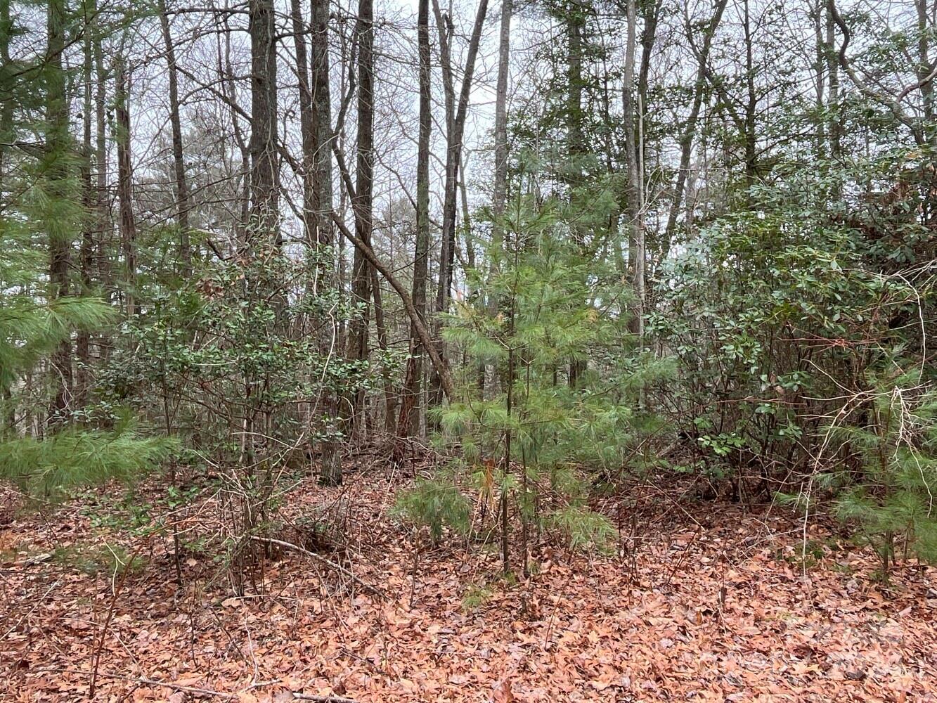 9999 Upper Whitewater Road 122