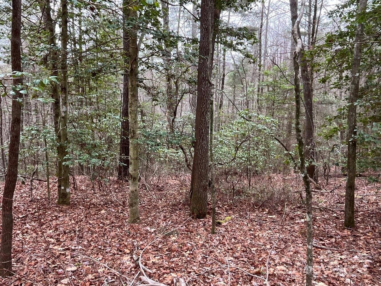 9999 Upper Whitewater Road 122