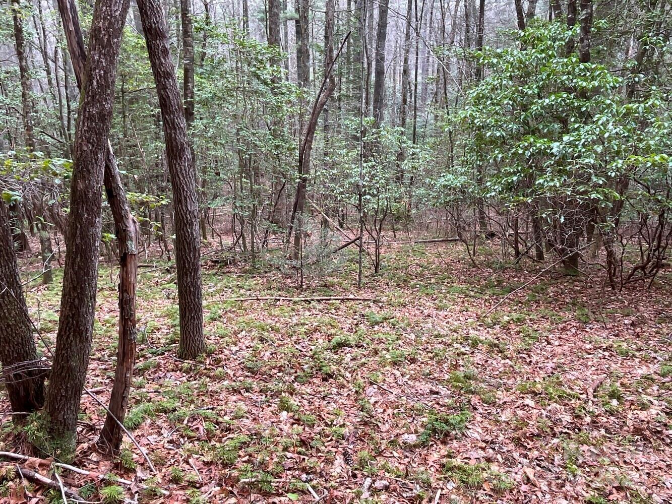 9999 Upper Whitewater Road 122