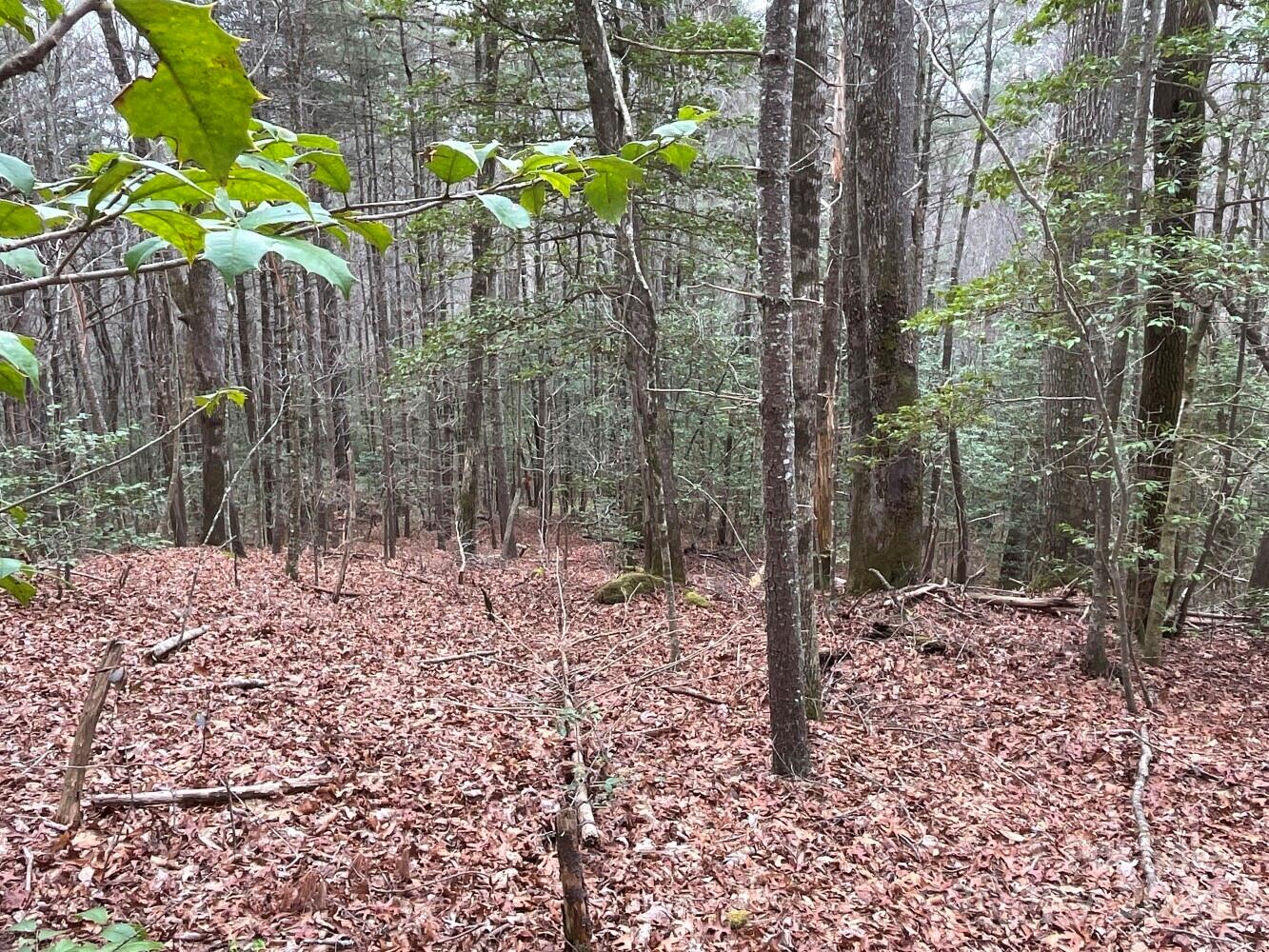 9999 Upper Whitewater Road 122