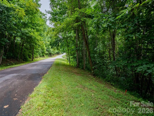 236 NOTTINGHAM DRIVE, MILL SPRING, NC 28756 - Image 41dda802b326f7a044b8f32e54c95ab9/3918829778