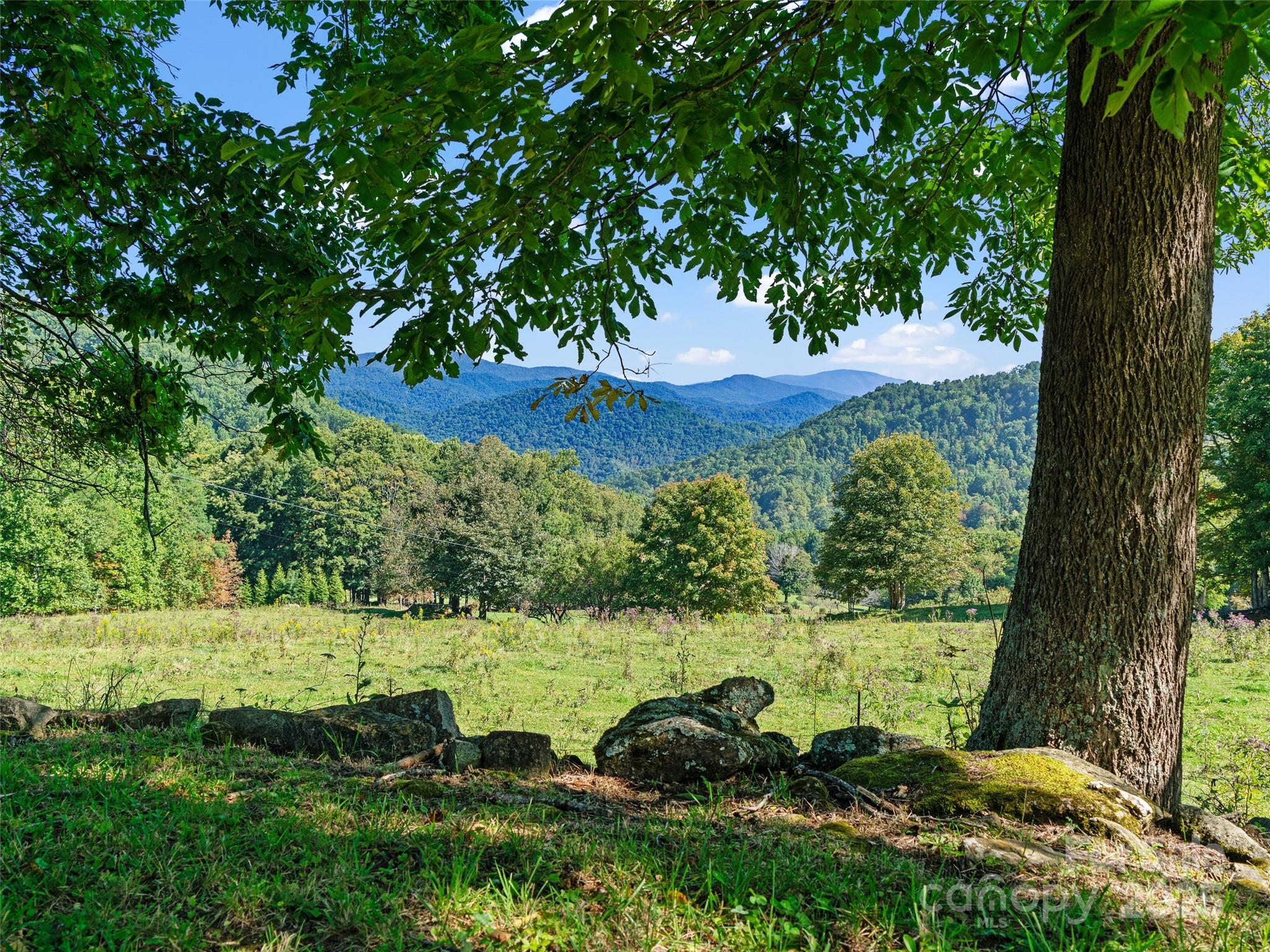 1099 Silas Branch Road