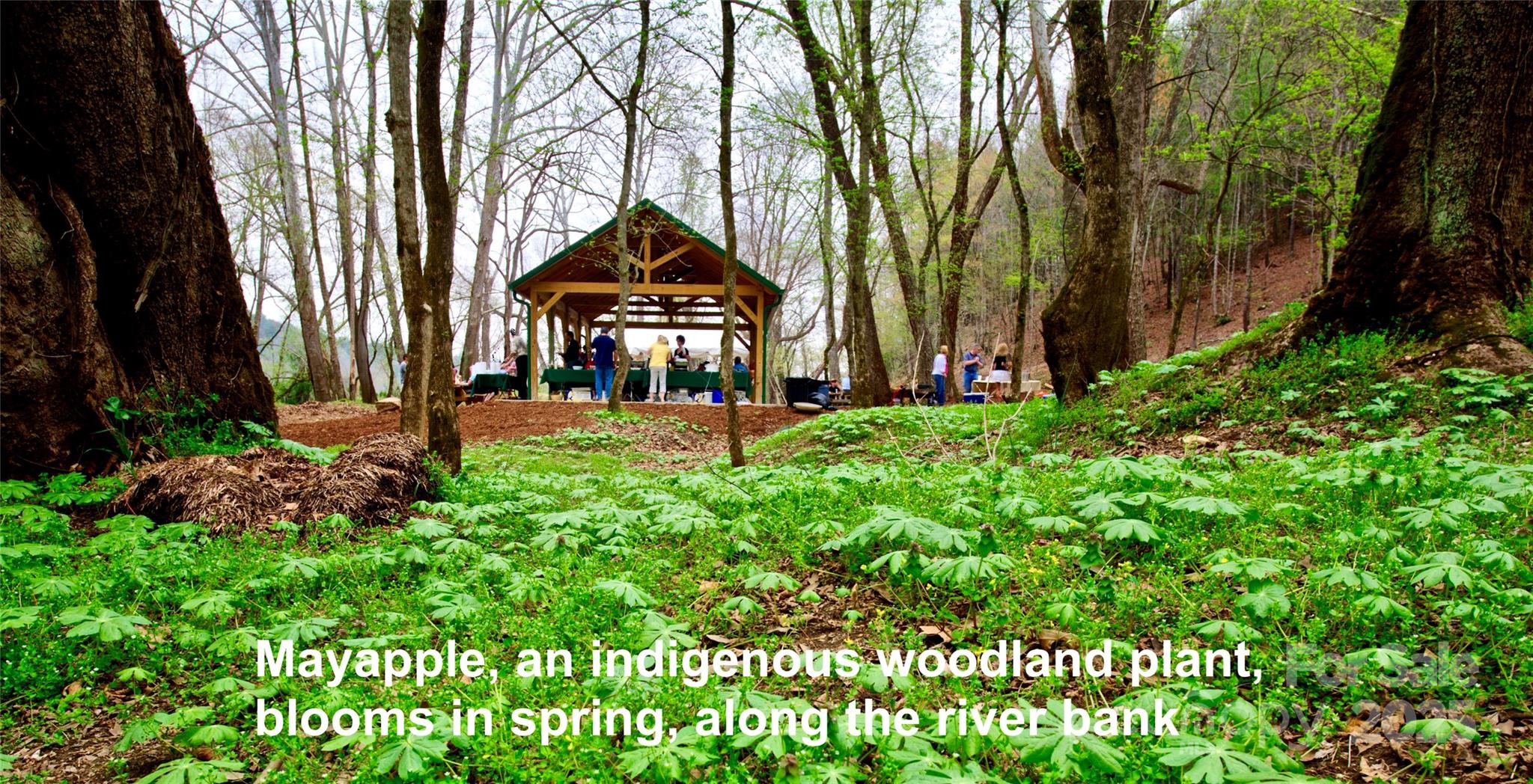 The Coves Mountain River Club - Residential