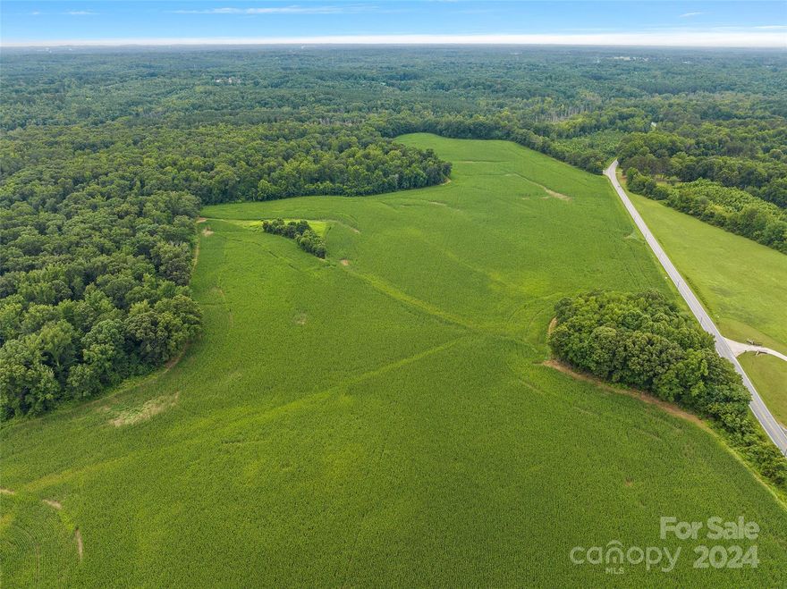 Gorgeous flat lot that provides multiple homesites for you to choose from. The land provides a diverse setting with gorgeous open farm land in the front and mixed timber in the back. The uses of this land are endless; Pursue building your dream home to have country living and farm land views, agricultural purposes, recreational activities, micro-farming, hunting, equestrian, etc.  Located in Rowan County; minutes away from downtown Salisbury, Mocksville, High Rock Lake, and not far away from Charlotte, Concord, Mooresville and Lake Norman areas or the Winston-Salem / Greensboro areas.  There are electrical utilities available at the road. There is a survey available. There is a perc test map available. Department of Transportation has driveway permit information available. More land available for sale; contact listing agent for more info.