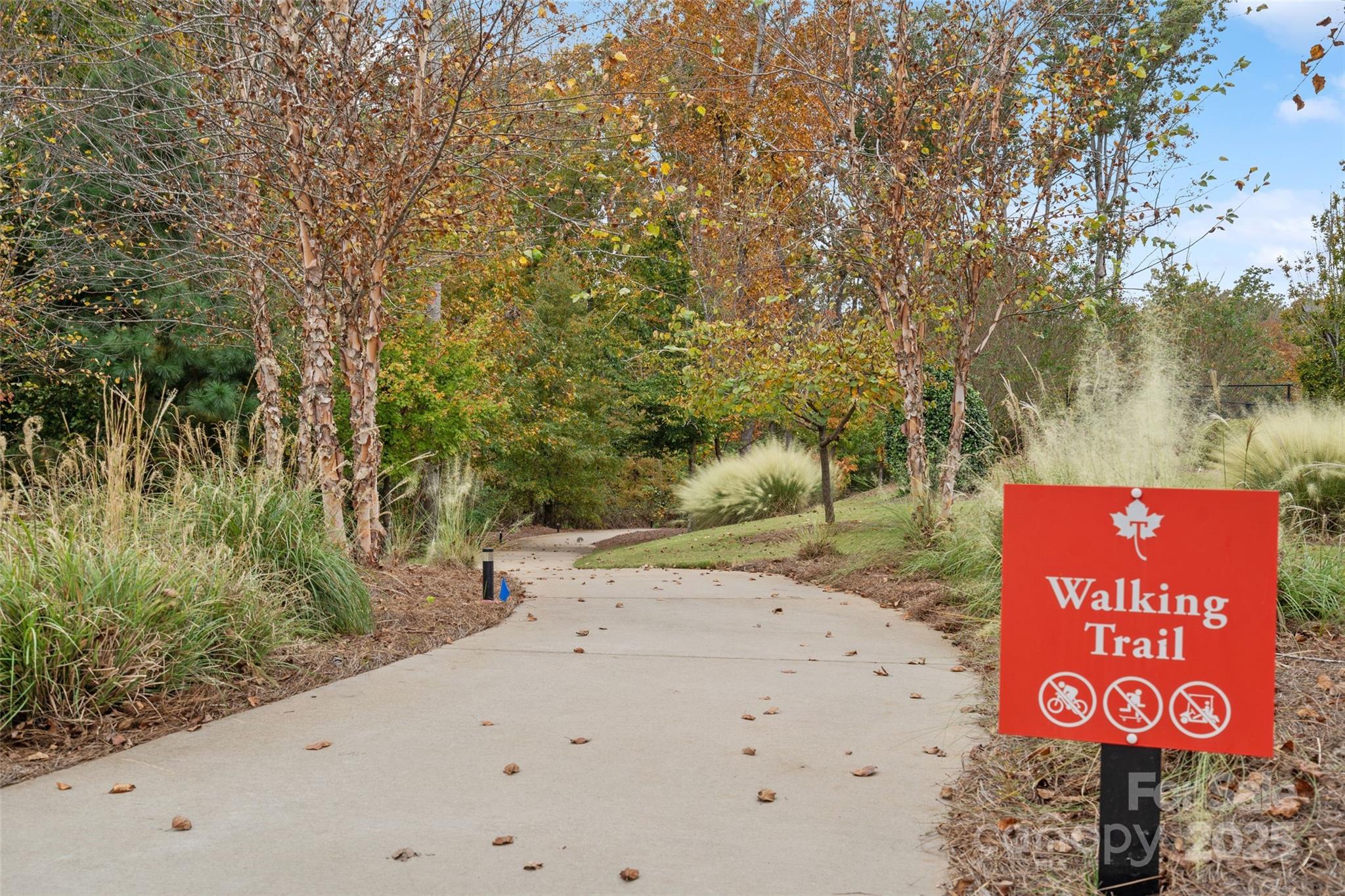 Tree Tops - Residential