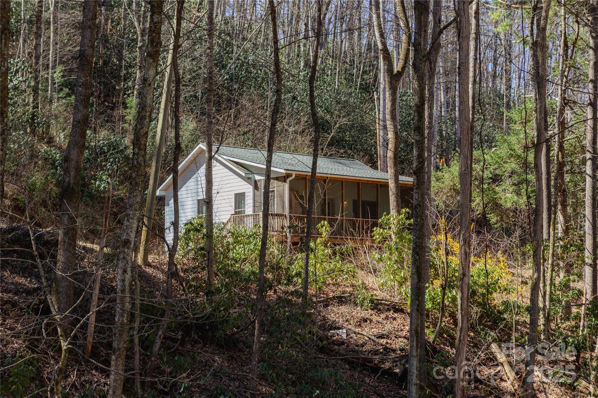 Chestnut Walk - Residential