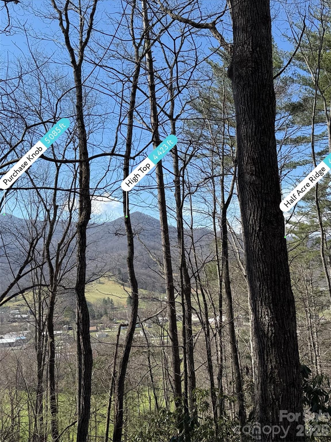 204 Minerva Drive 11