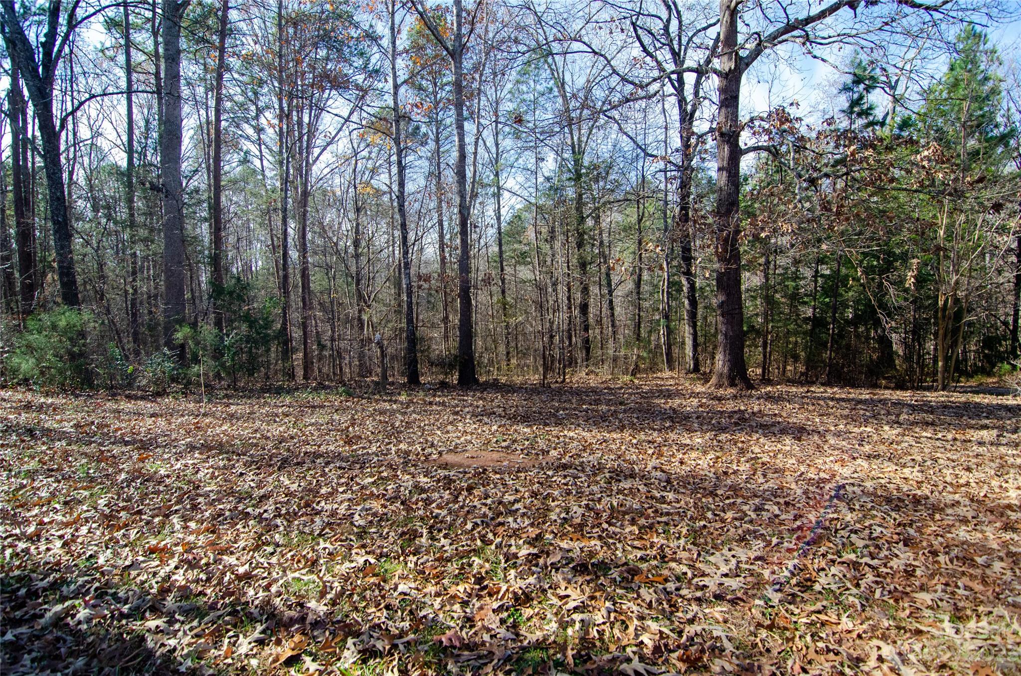 Smith Woods - Residential