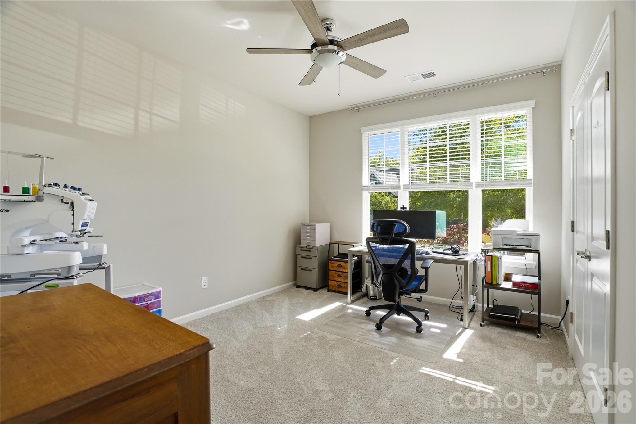 Imagery on Mtn Island - Residential