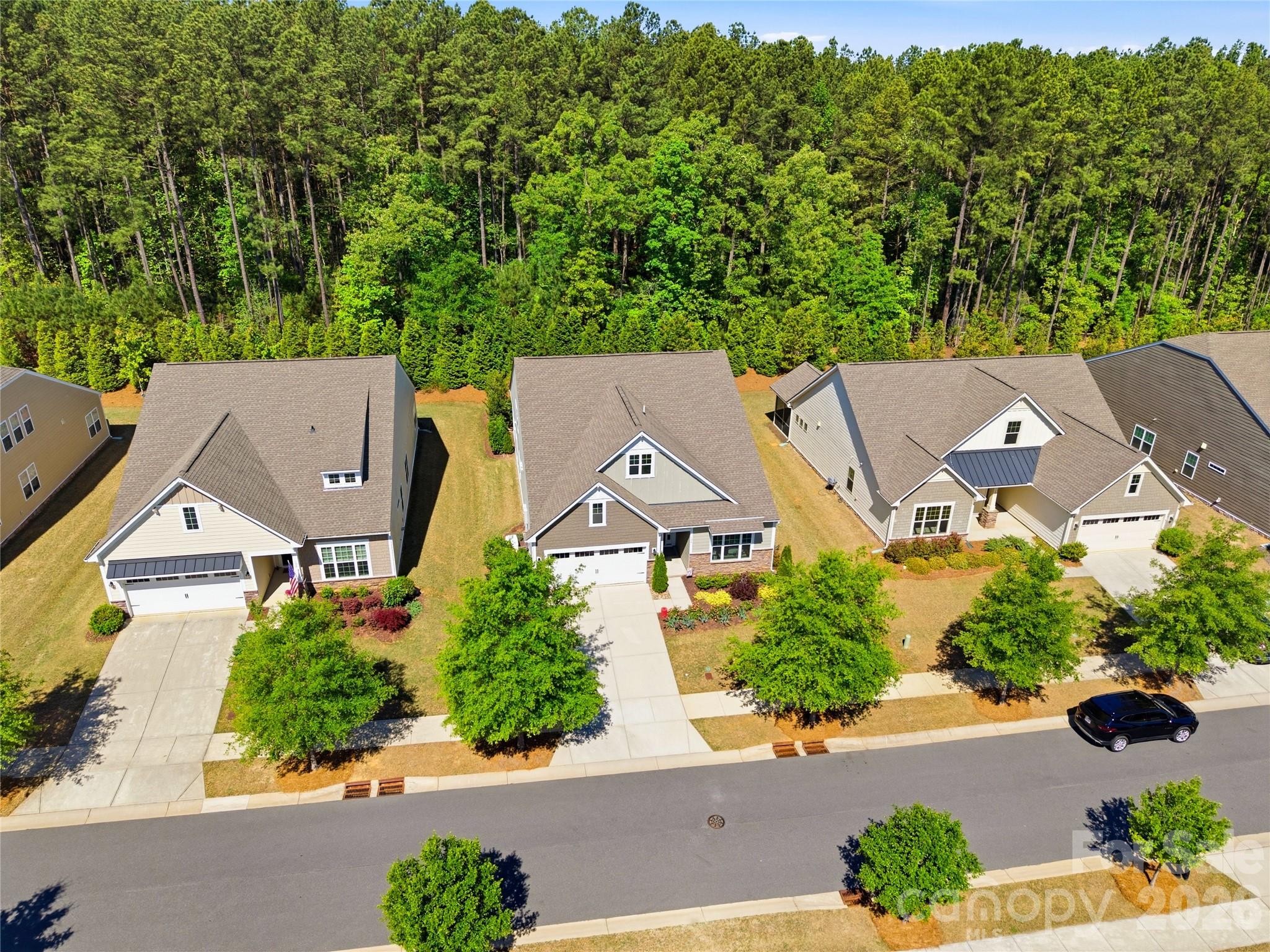 Imagery on Mtn Island - Residential