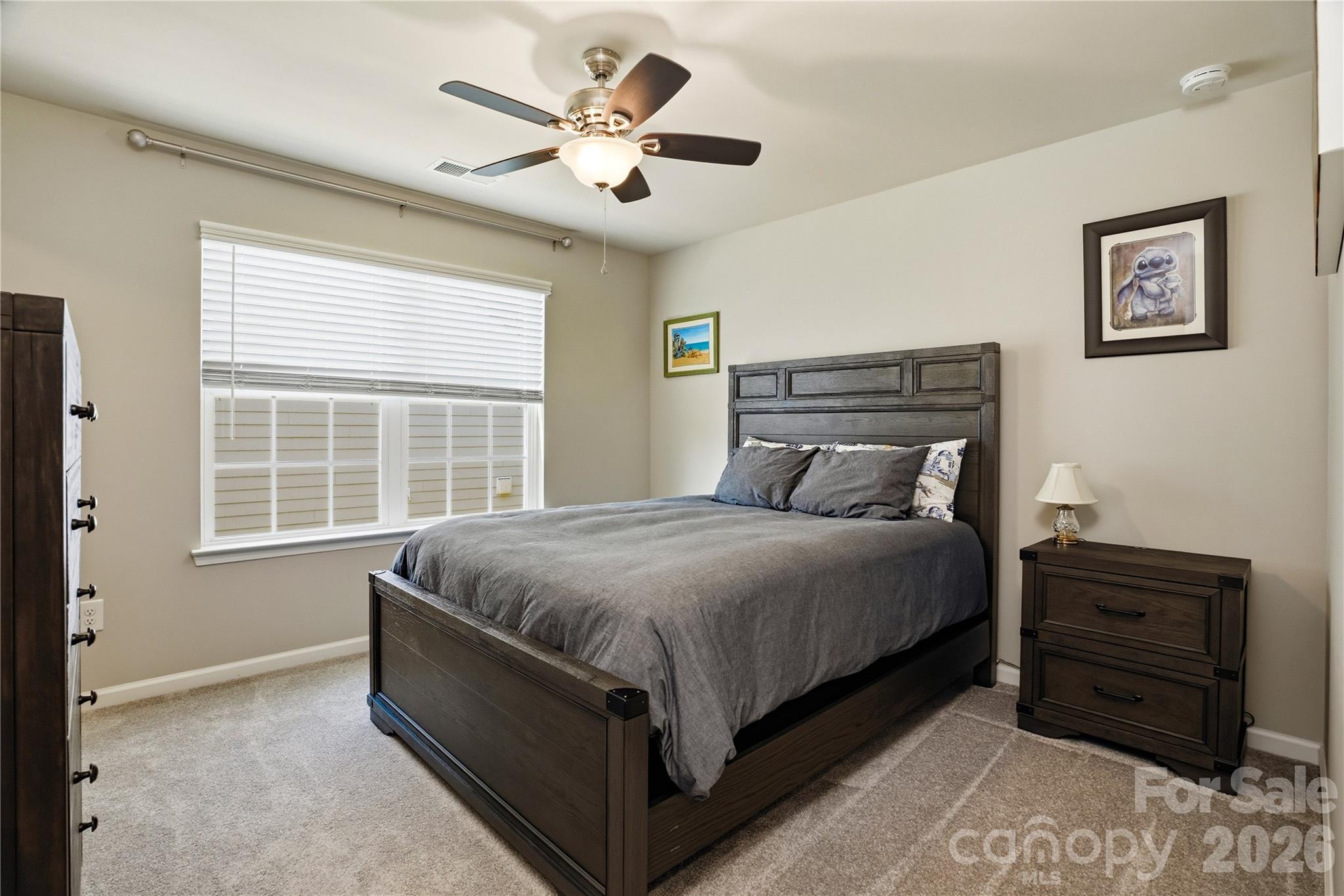 Imagery on Mtn Island - Residential