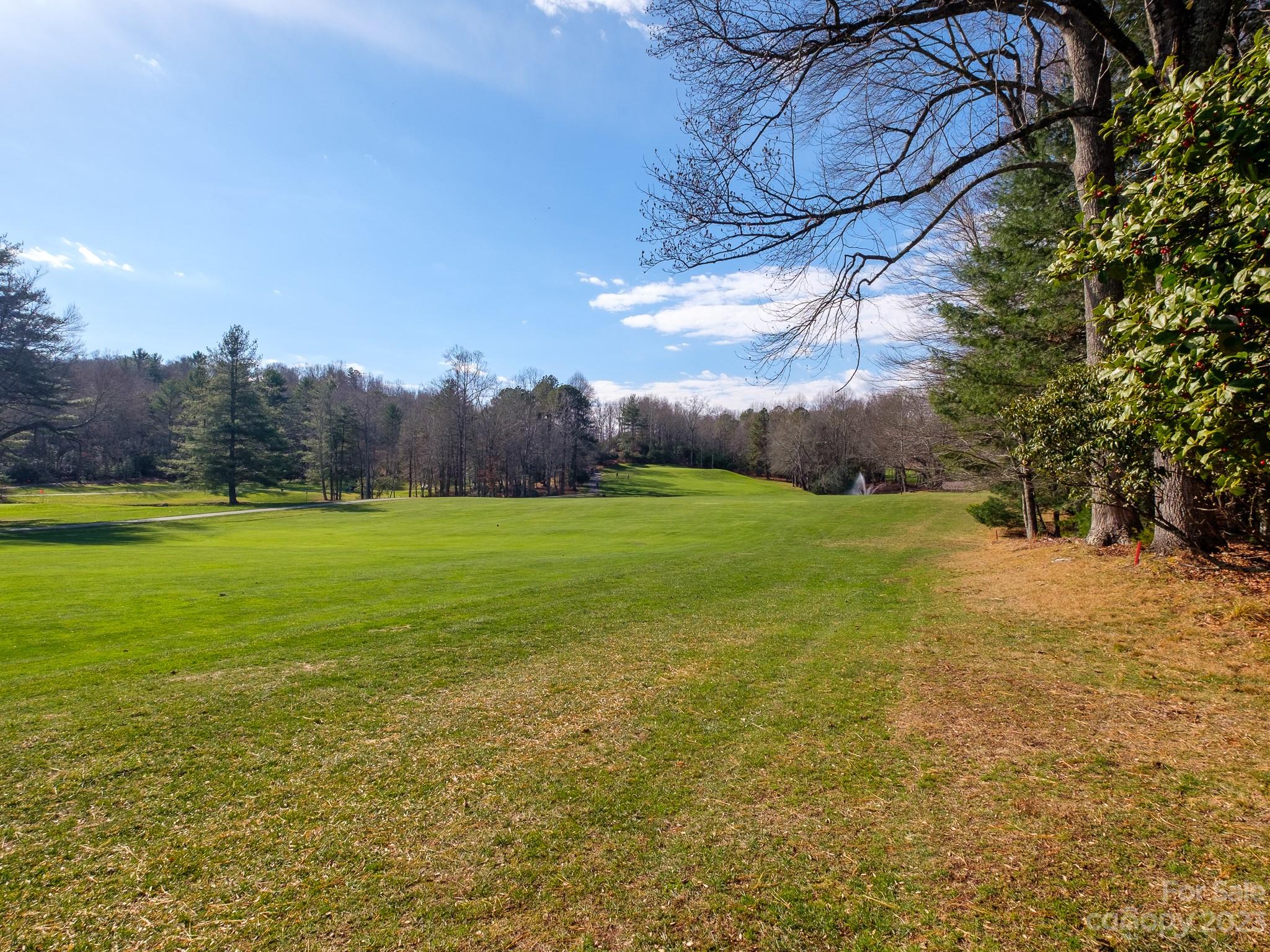 Connestee Falls - Residential
