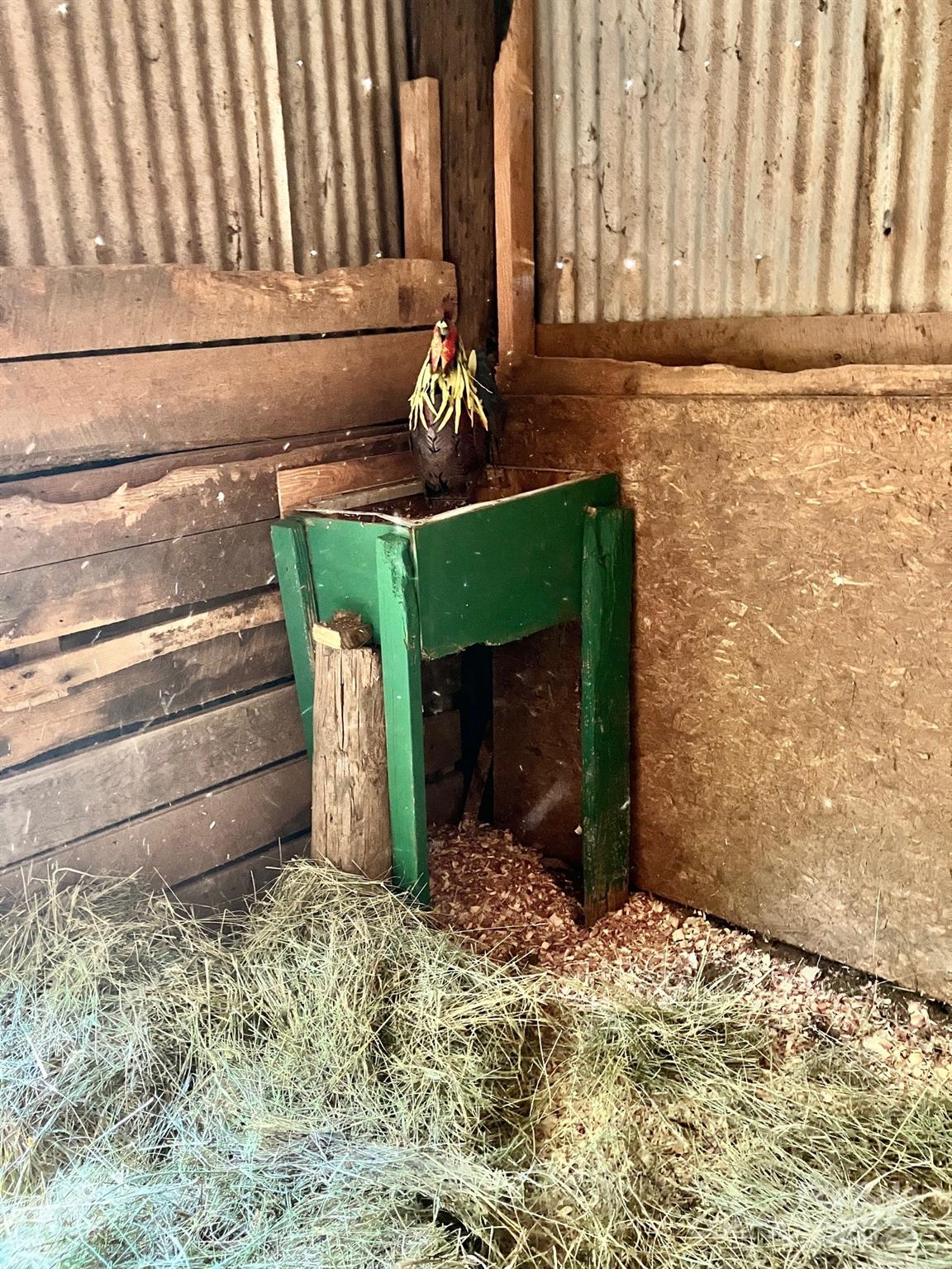 Valleydale - Residential