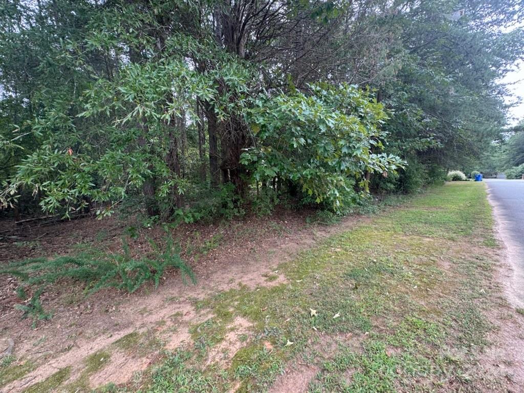 Forest Meadow - Land