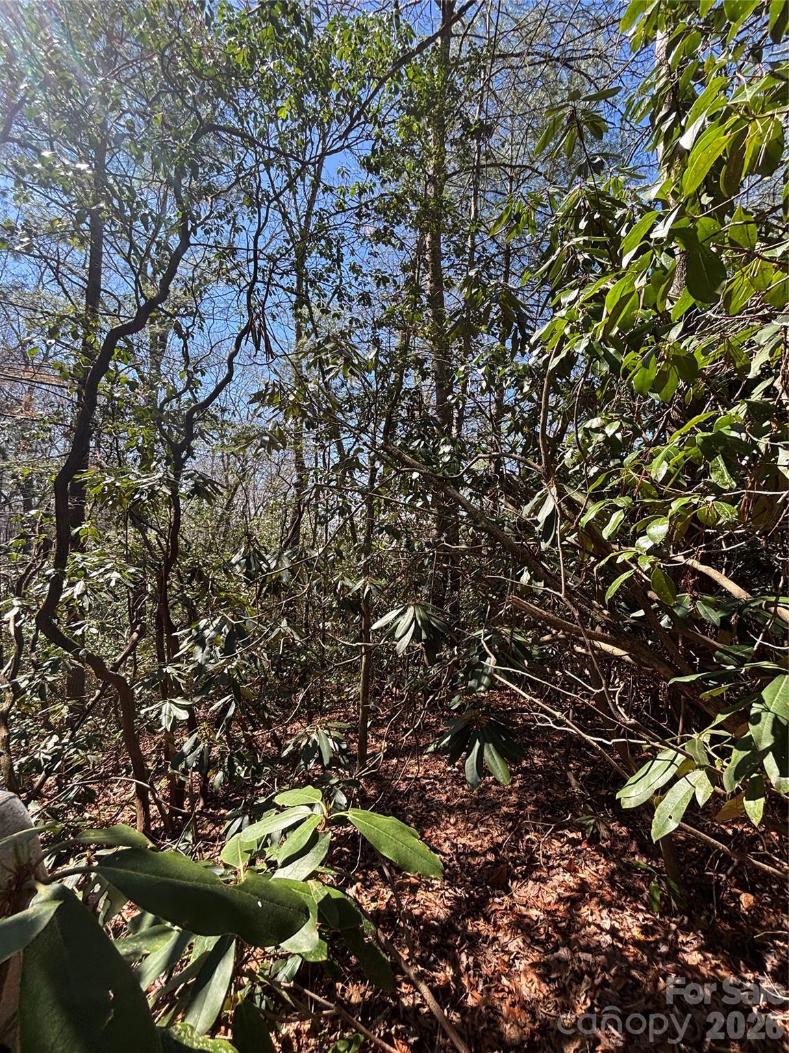 TBD Top of the Mountain Road