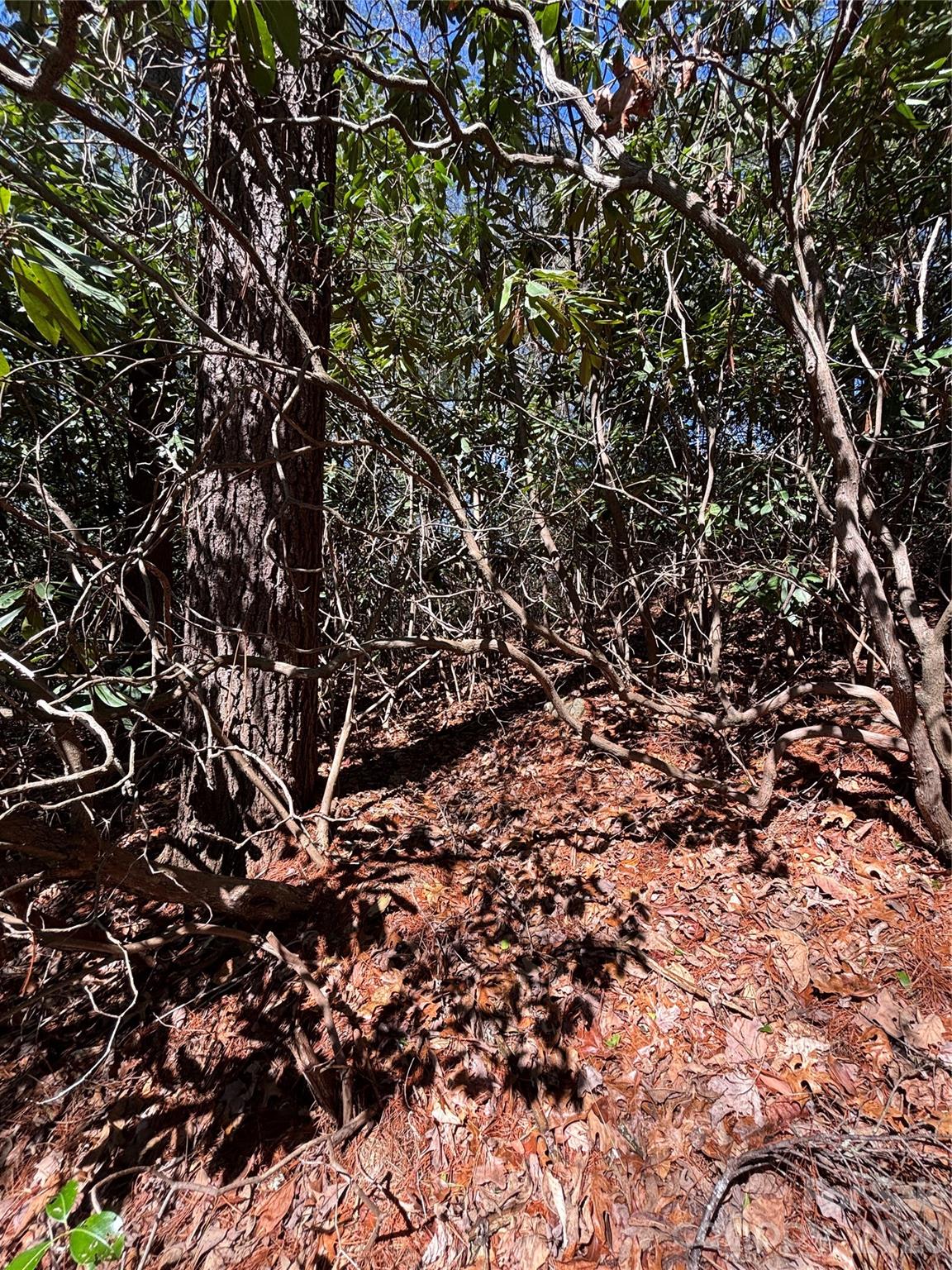 TBD Top of the Mountain Road