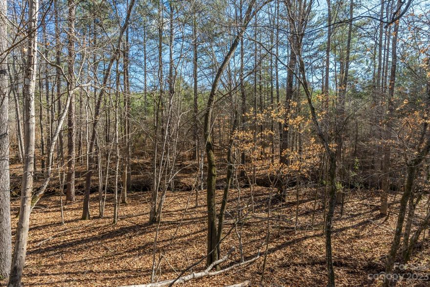 Welcome to this amazing opportunity in York County, conveniently located between Charlotte, Rock Hill, Chester, Kings Mountain, and Spartanburg / Gaffney! This property has it all!  Abundant wildlife, acres of hardwood bottom, large creek flowing through the property, and loblolly pine production! This gem can be used for Hunting/Recreation, income potential, forestry use deferred taxes, and a personal residence!  There is electricity available. Quality soil for conventional septic system per soil engineer.  If you are looking for a tranquil homestead tucked back in the woods or a place to hunt and farm, this is the piece of land for you!  Pursue building your dream home and embrace the country lifestyle.  This charming property is here for you to enjoy with family and friends. This sale is subject to a completed survey. Survey and soil mapping available upon request. Contact listing agent for more info.