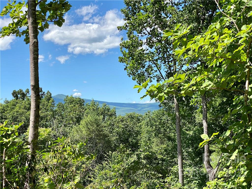 The Arbor at Lake James - Land
