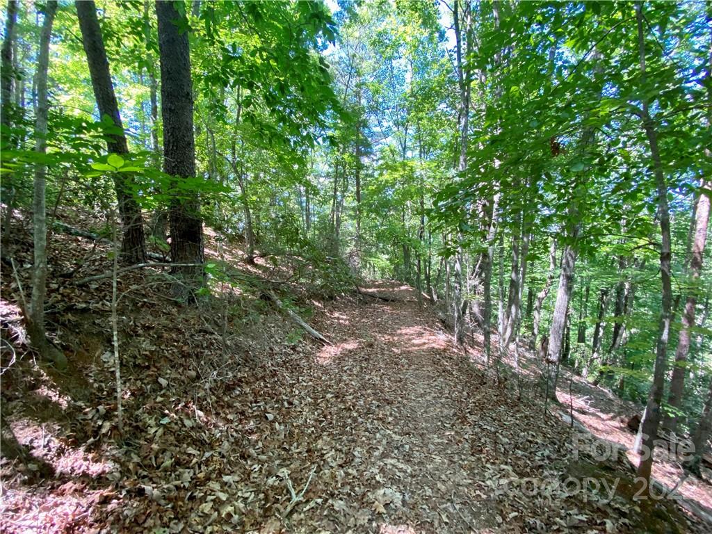 The Arbor at Lake James - Land