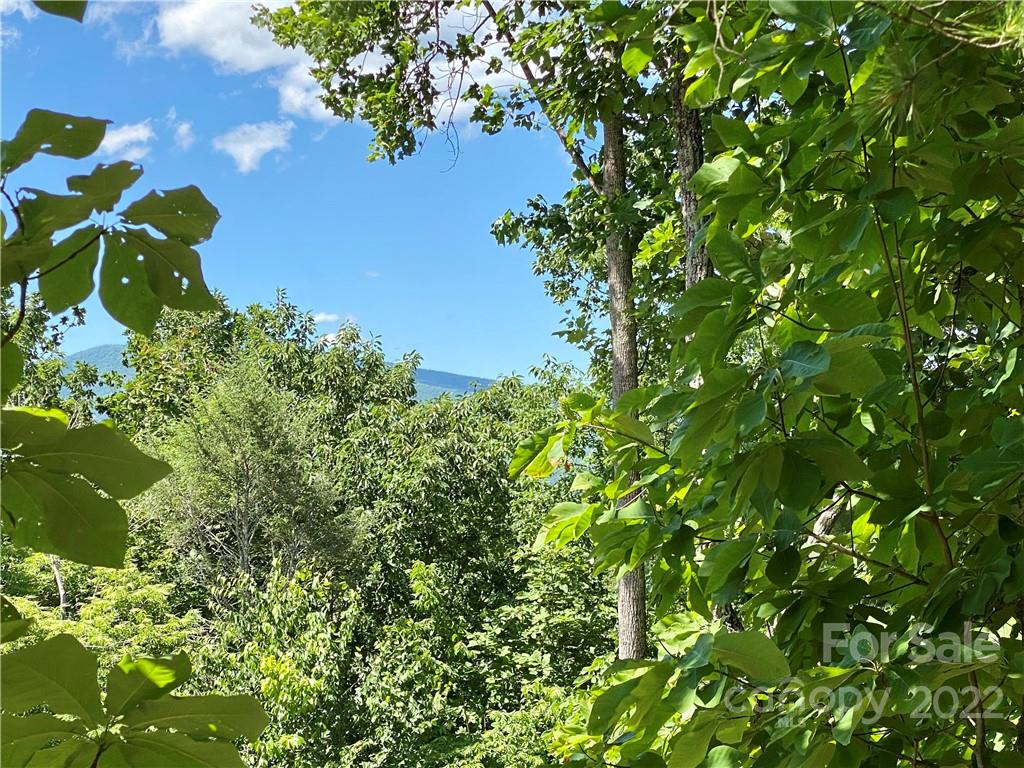 The Arbor at Lake James - Land