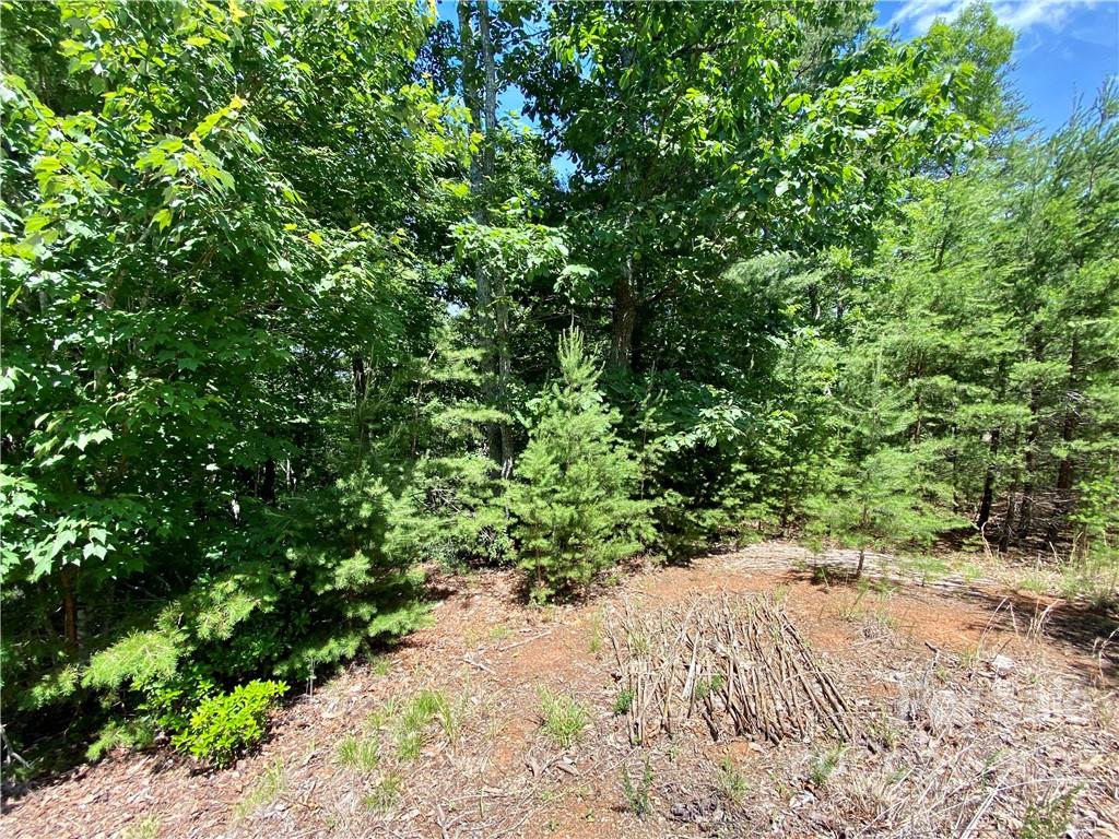 The Arbor at Lake James - Land