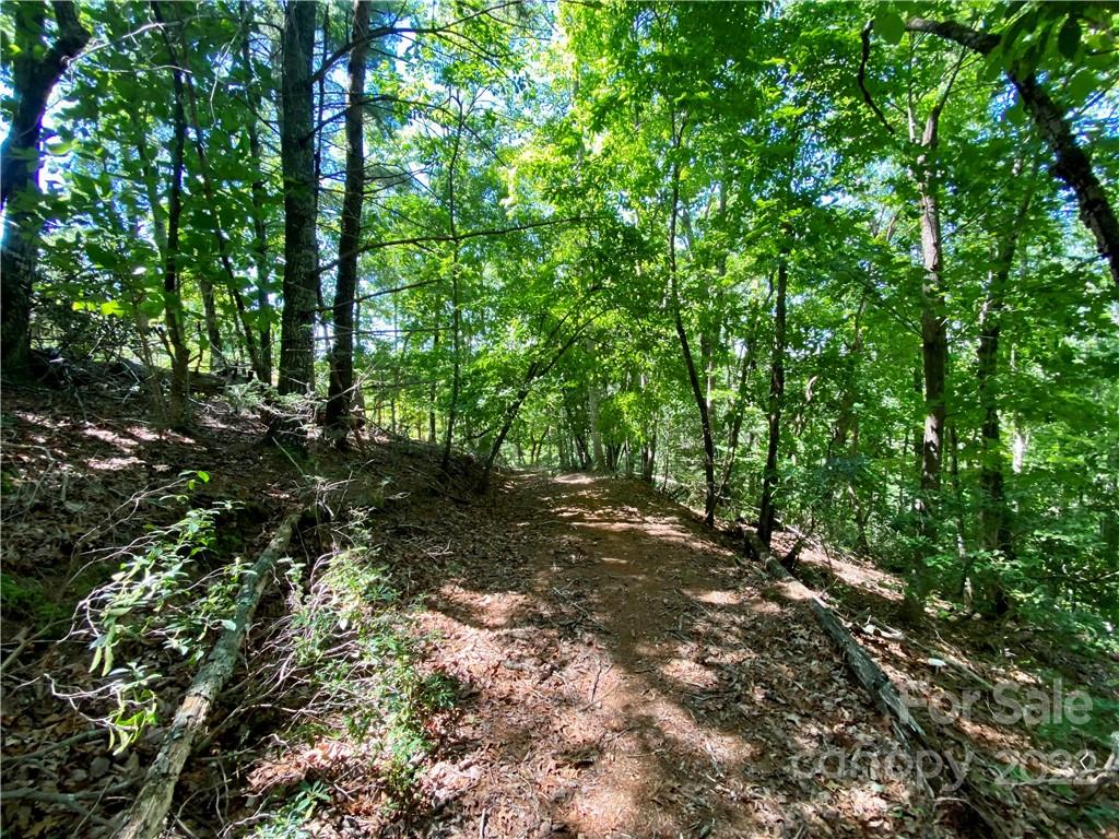 The Arbor at Lake James - Land