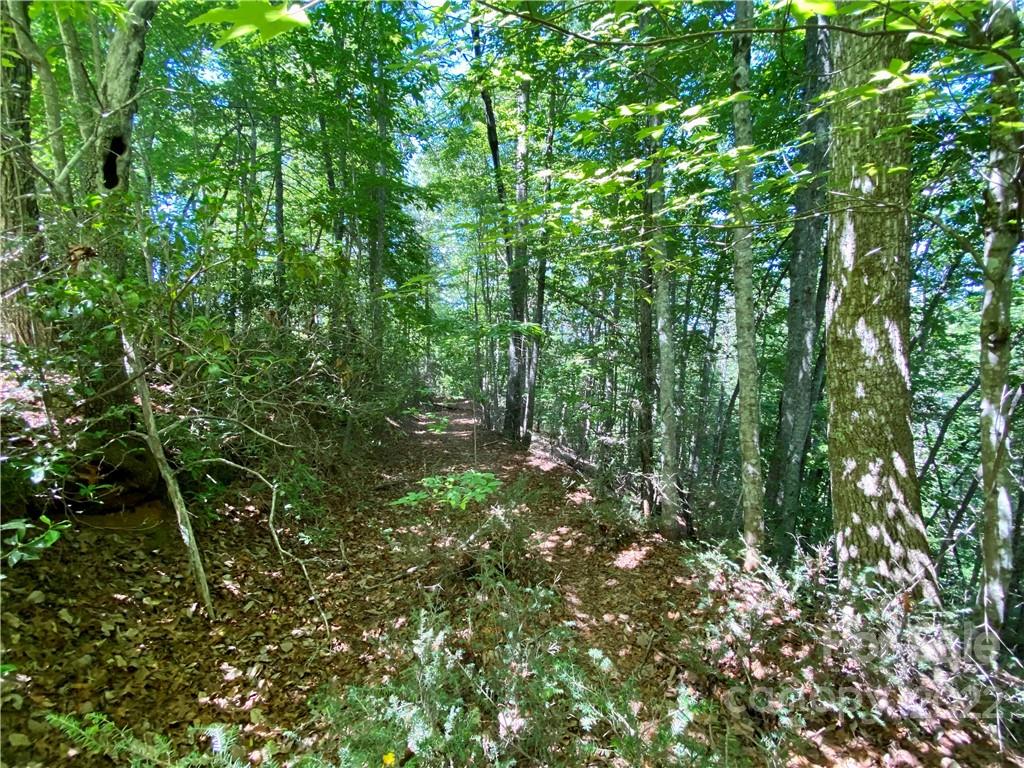The Arbor at Lake James - Land