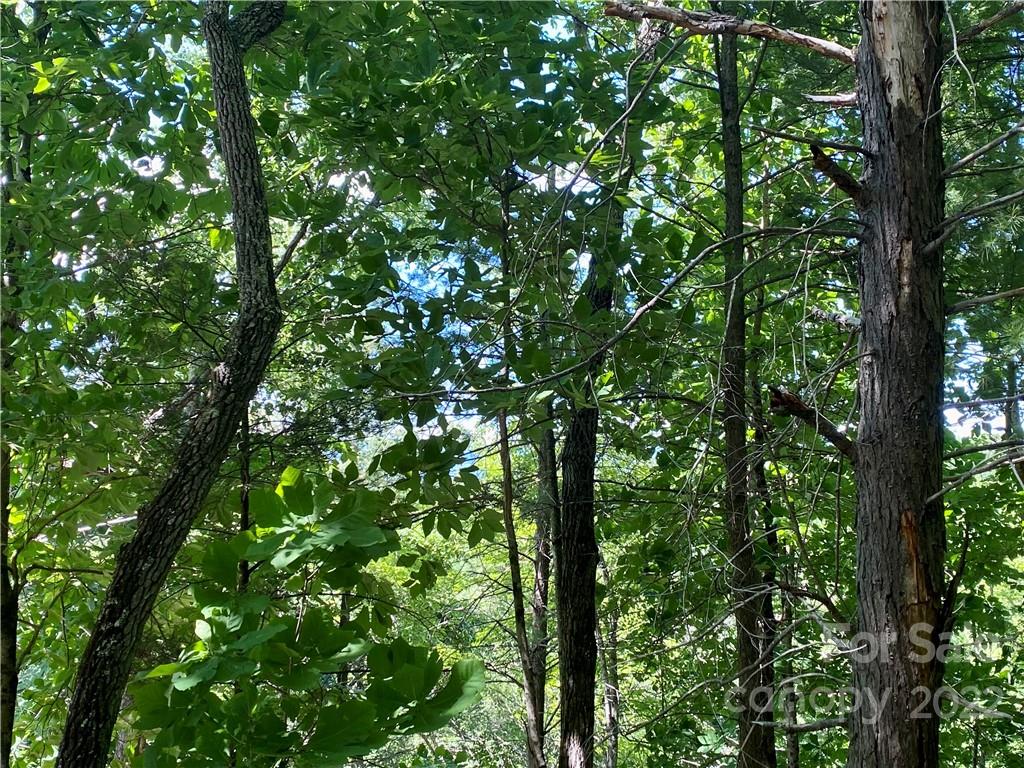The Arbor at Lake James - Land