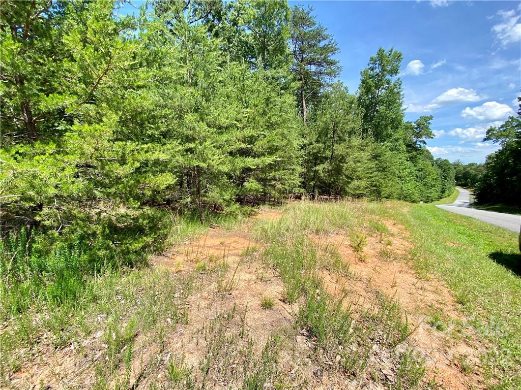 The Arbor at Lake James - Land