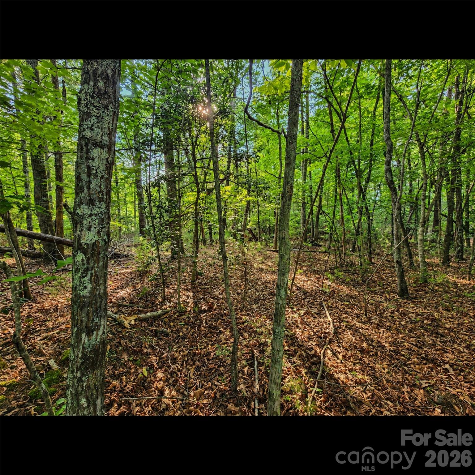 547 James View Road