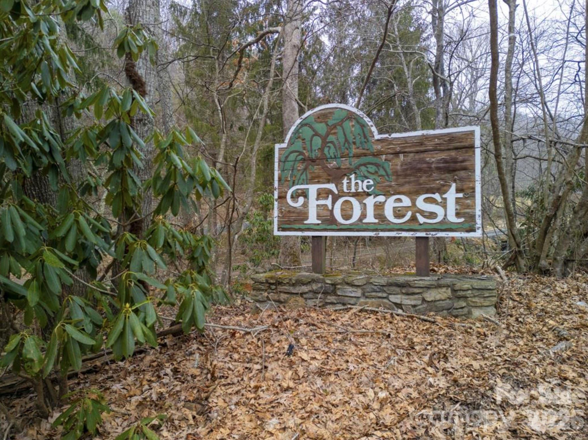 The Forest - Land