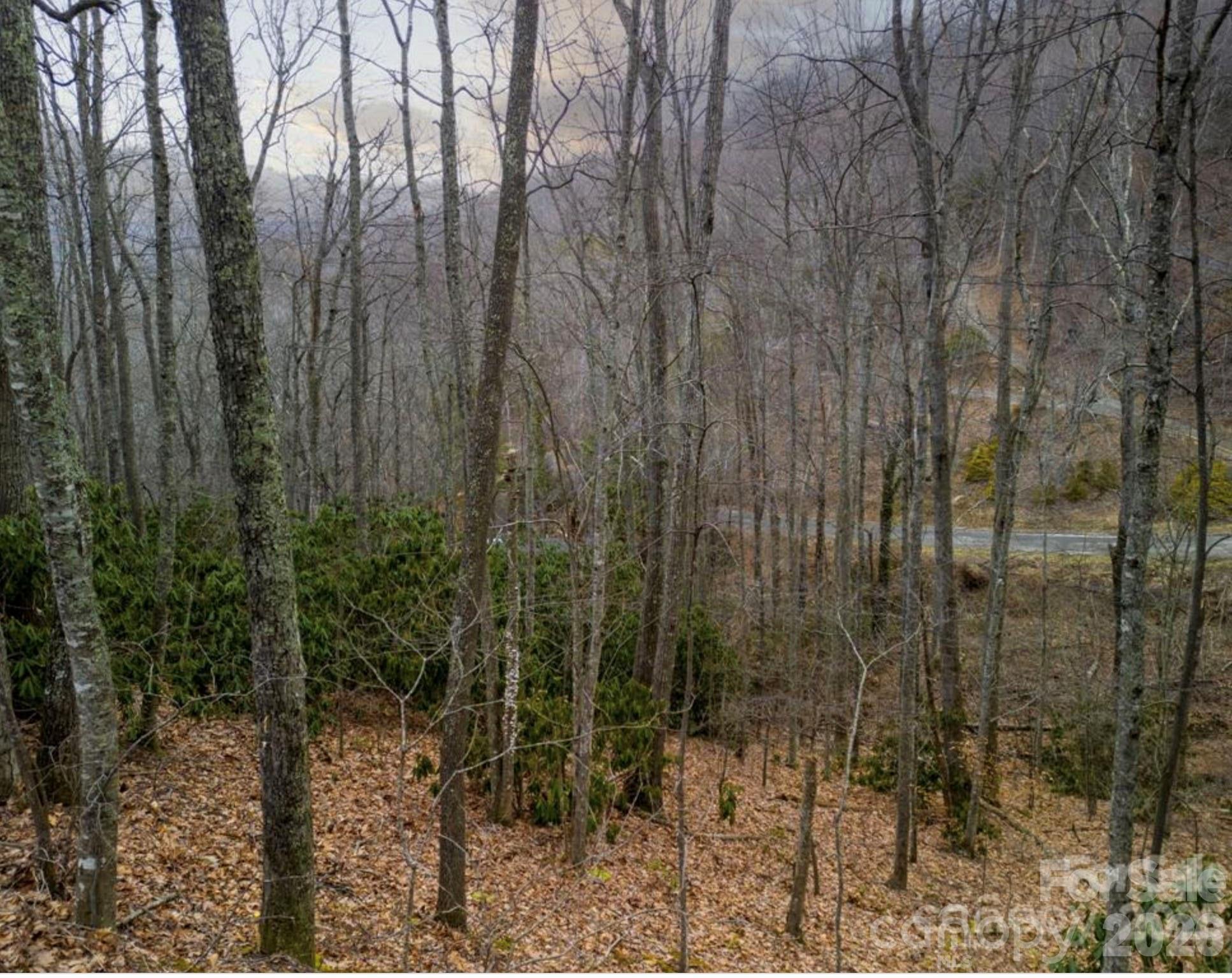 The Forest - Land