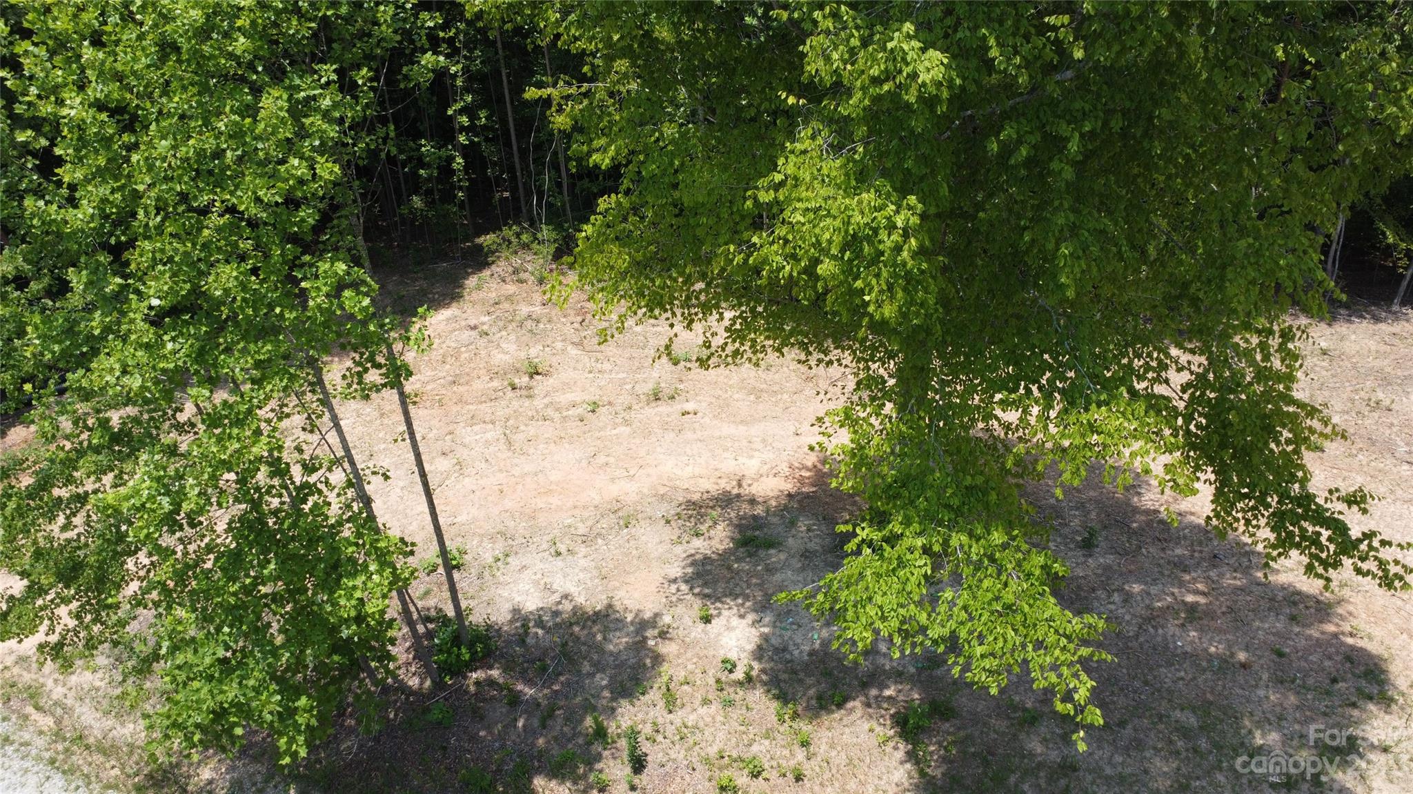 Ashe Bridge Farms - Land