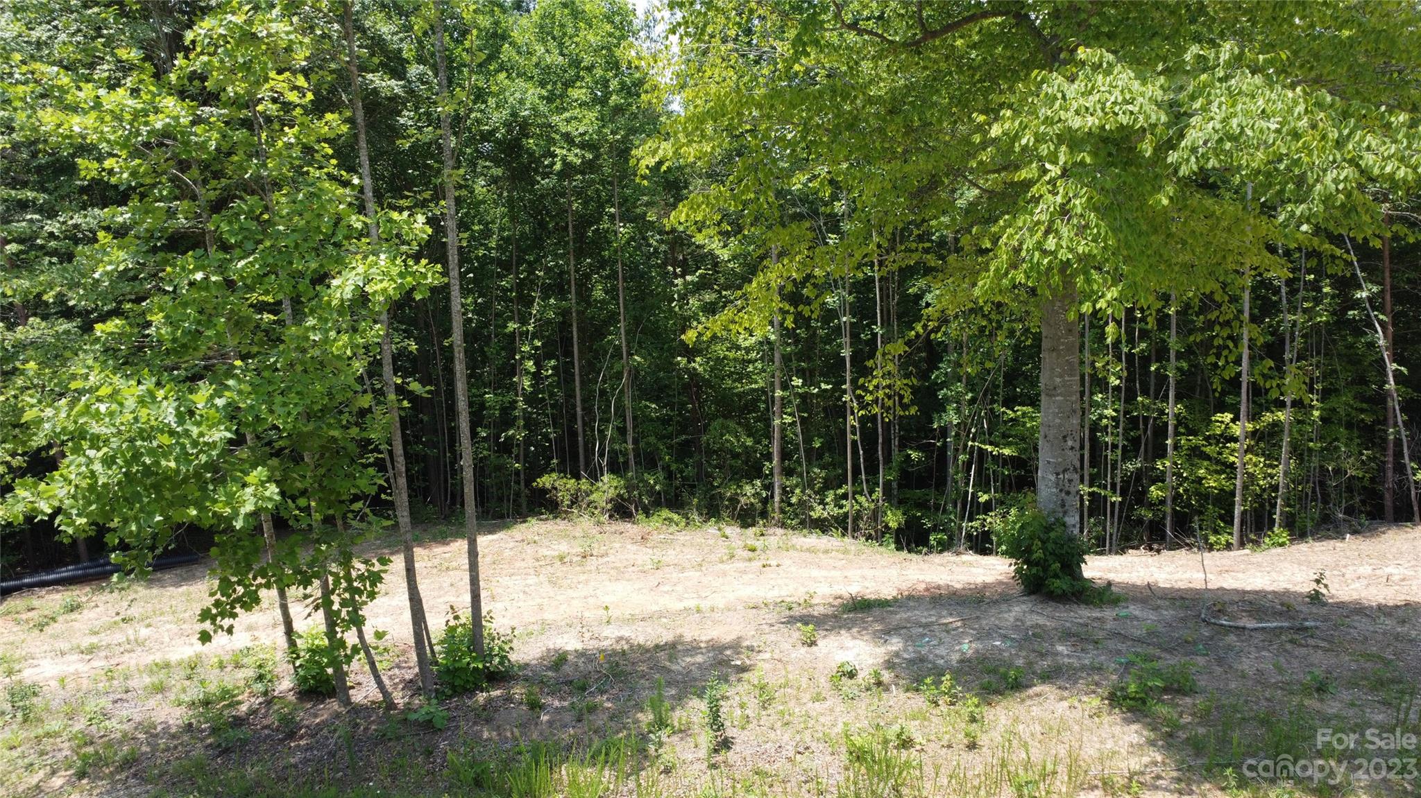 Ashe Bridge Farms - Land