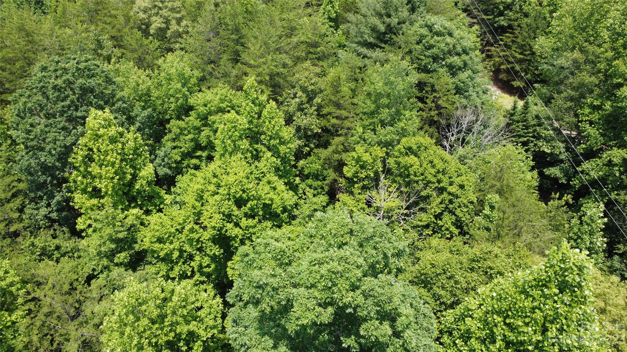 Ashe Bridge Farms - Land