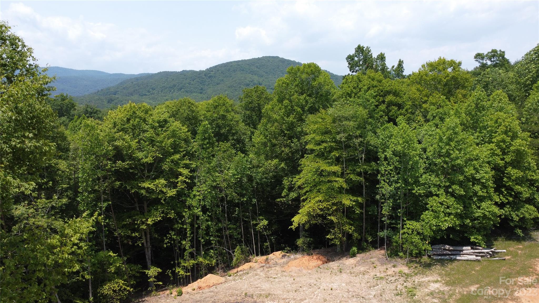 Ashe Bridge Farms - Land