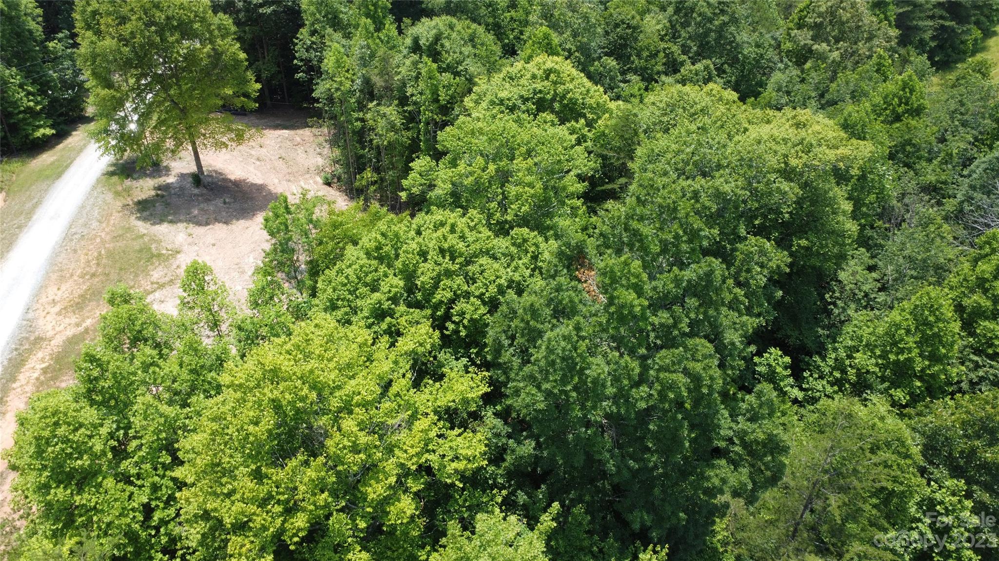 Ashe Bridge Farms - Land