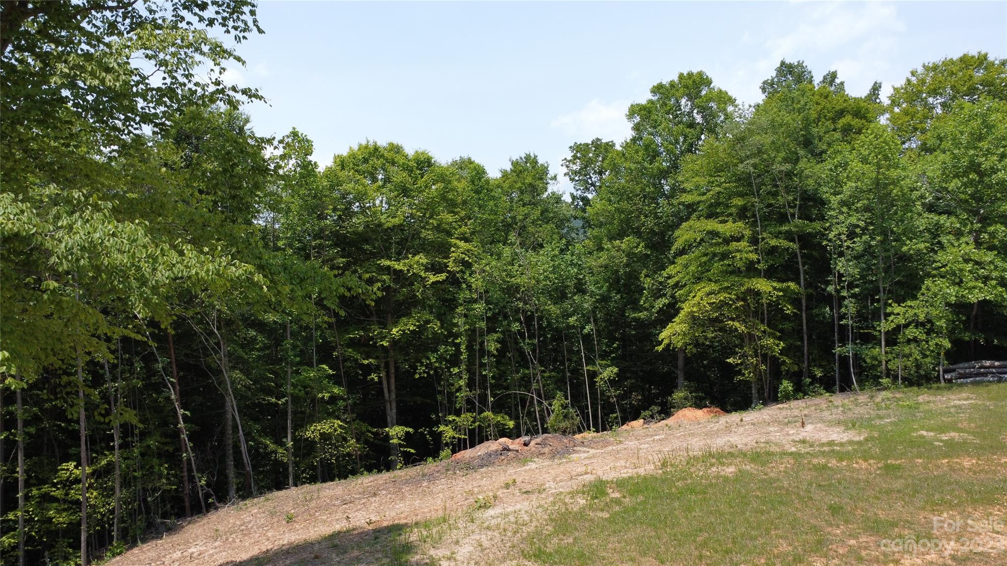 Ashe Bridge Farms - Land