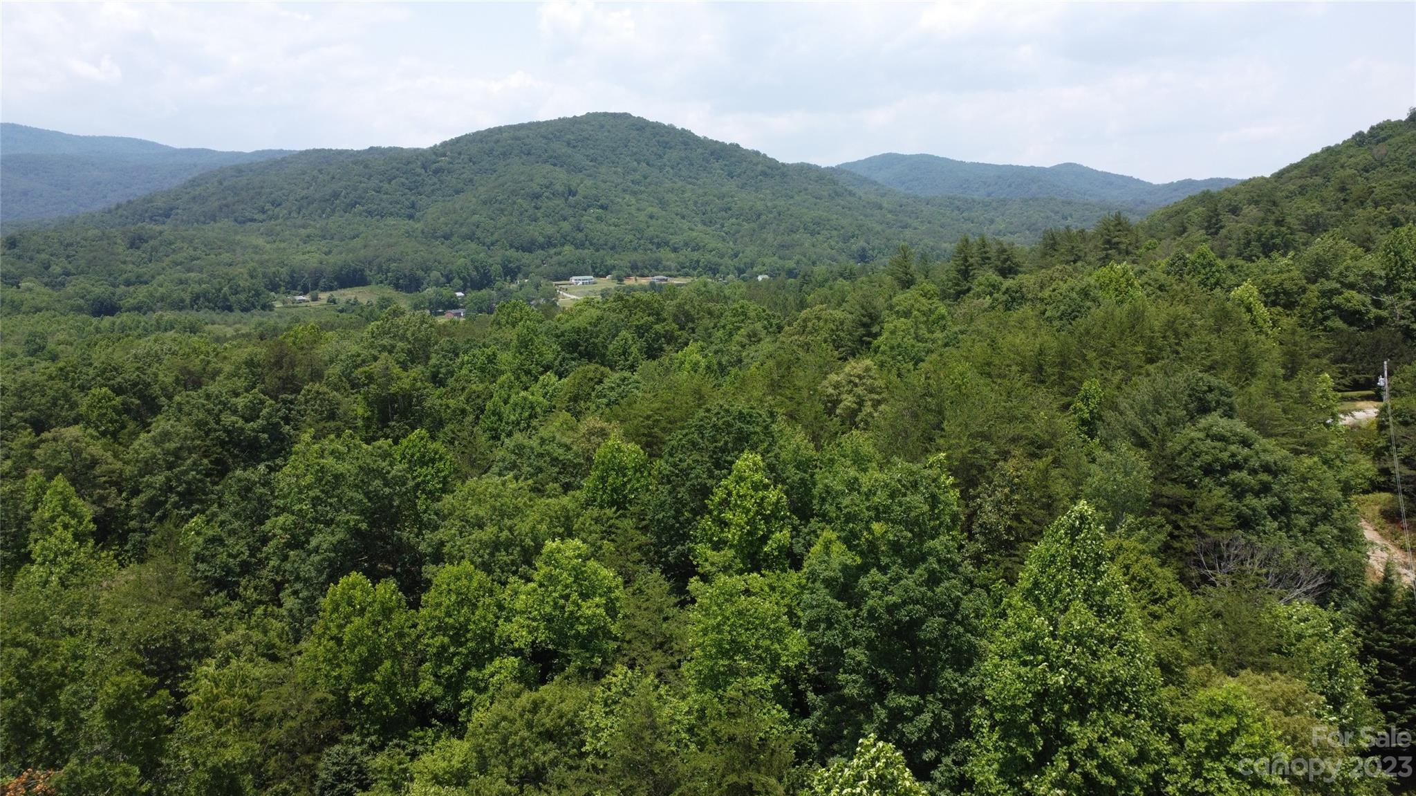 Ashe Bridge Farms - Land