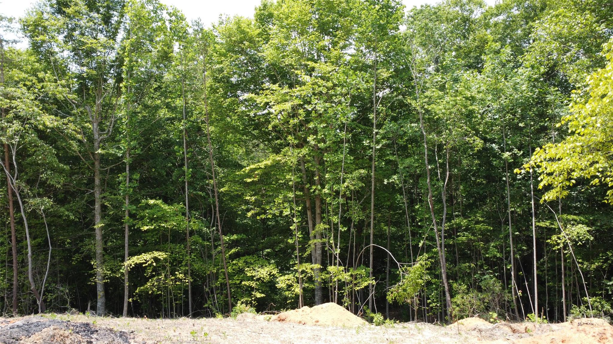 Ashe Bridge Farms - Land