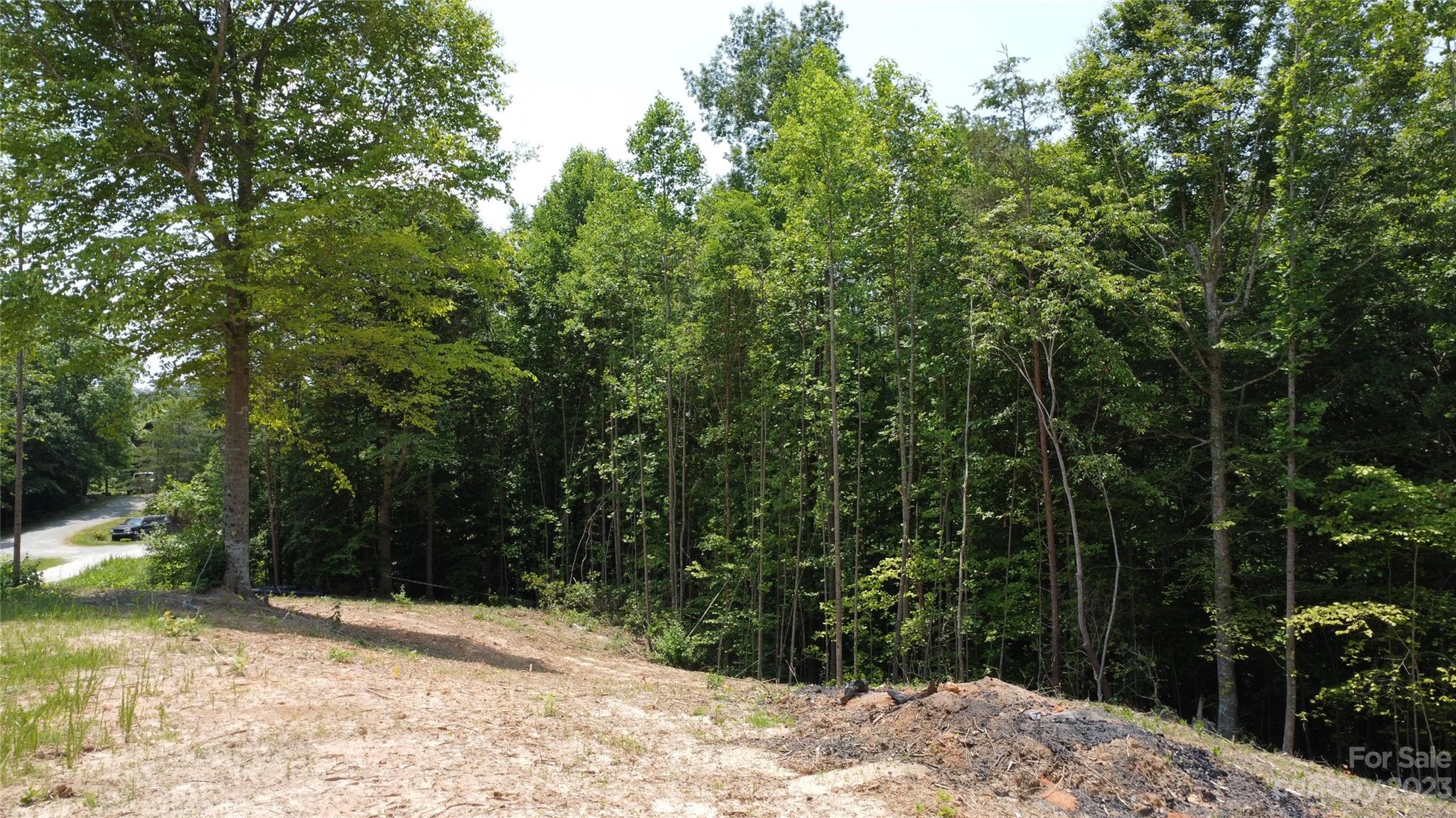 Ashe Bridge Farms - Land