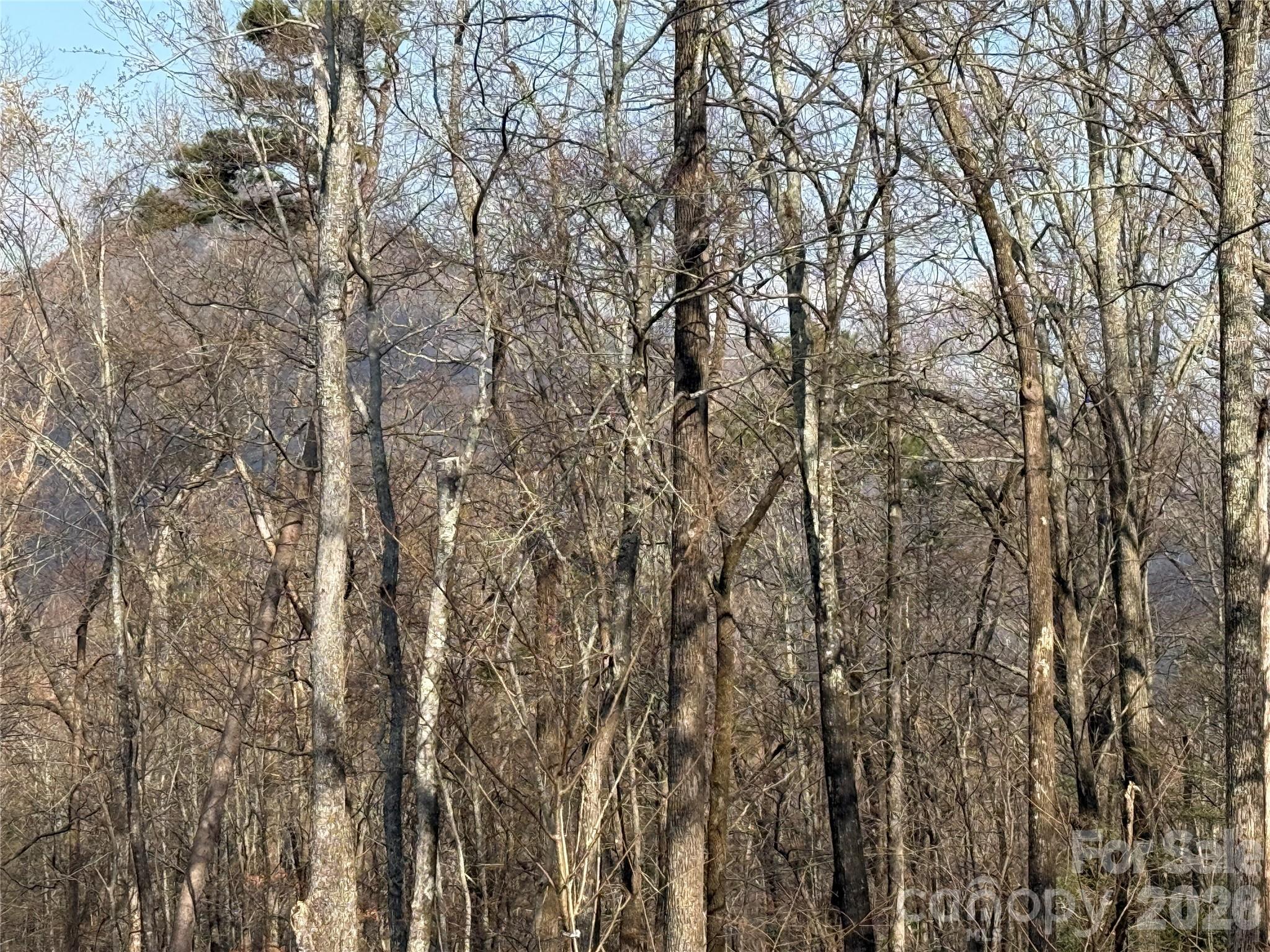 0 Hummingbird Road 275